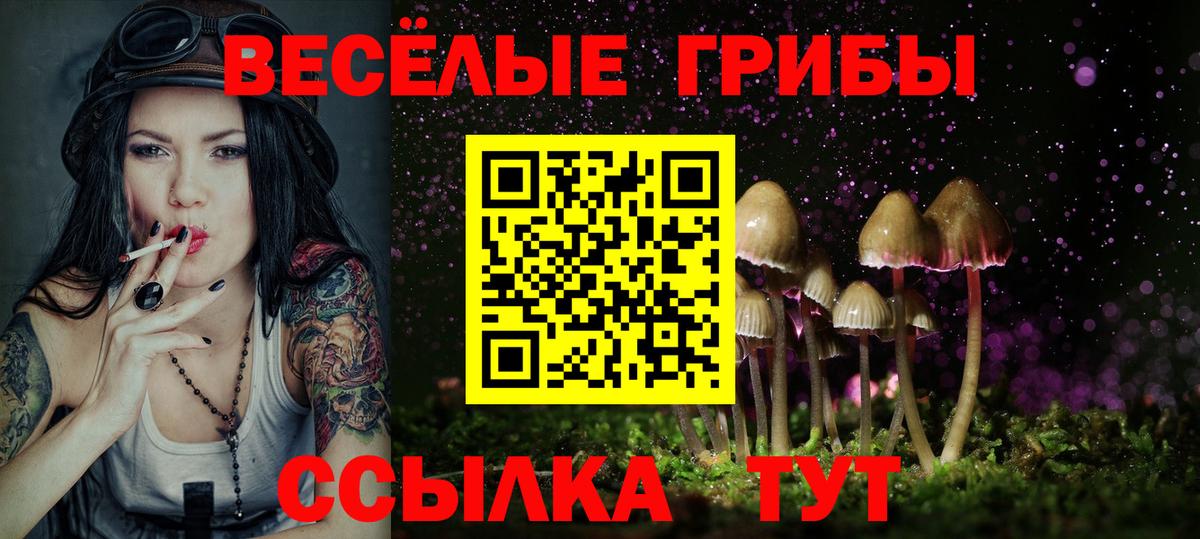 Псилоцибиновые грибы Cubensis  Вход с VPN  Амурск 